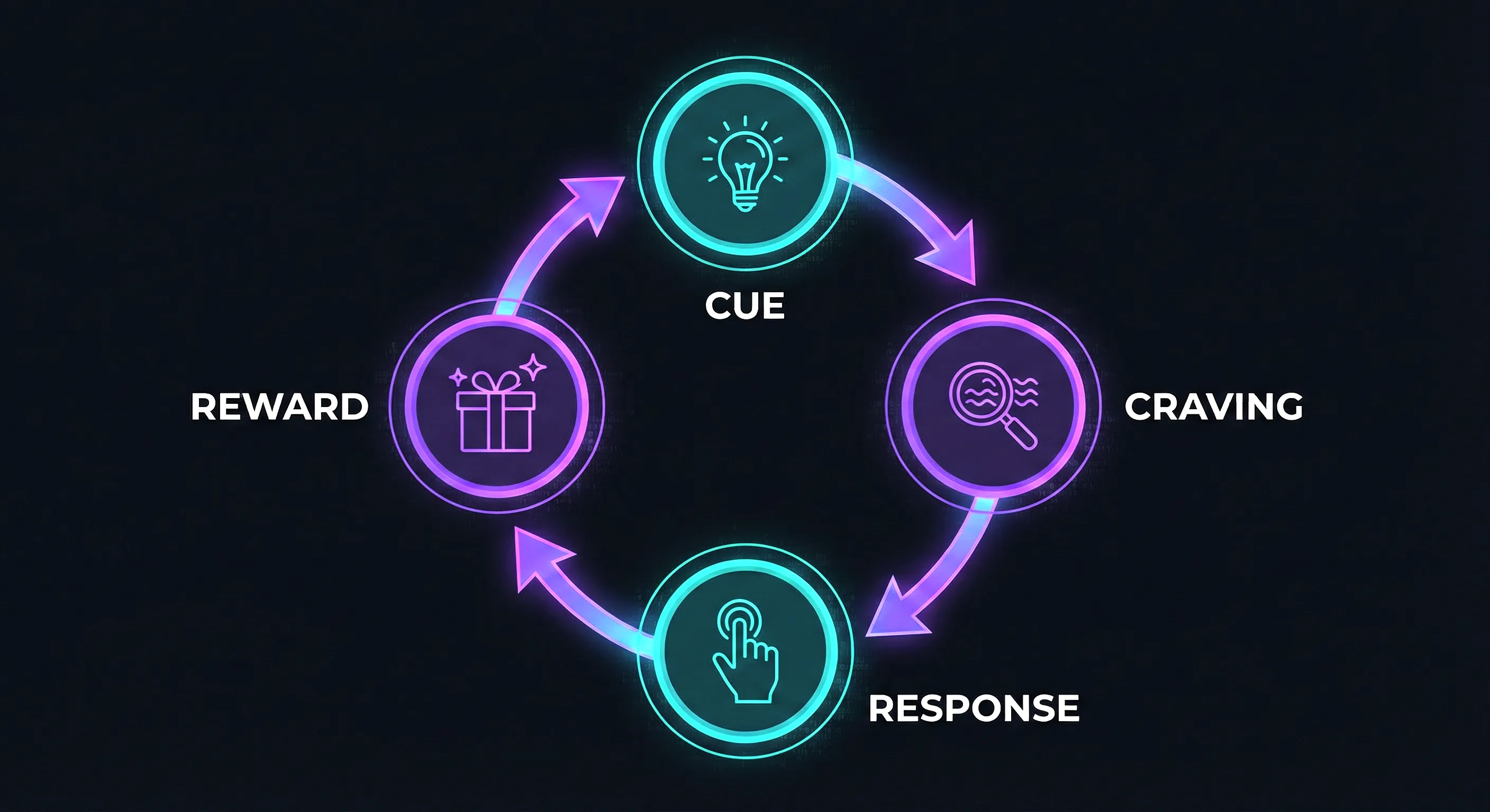 Diagram of the four-step habit loop showing cue, craving, response, and reward
