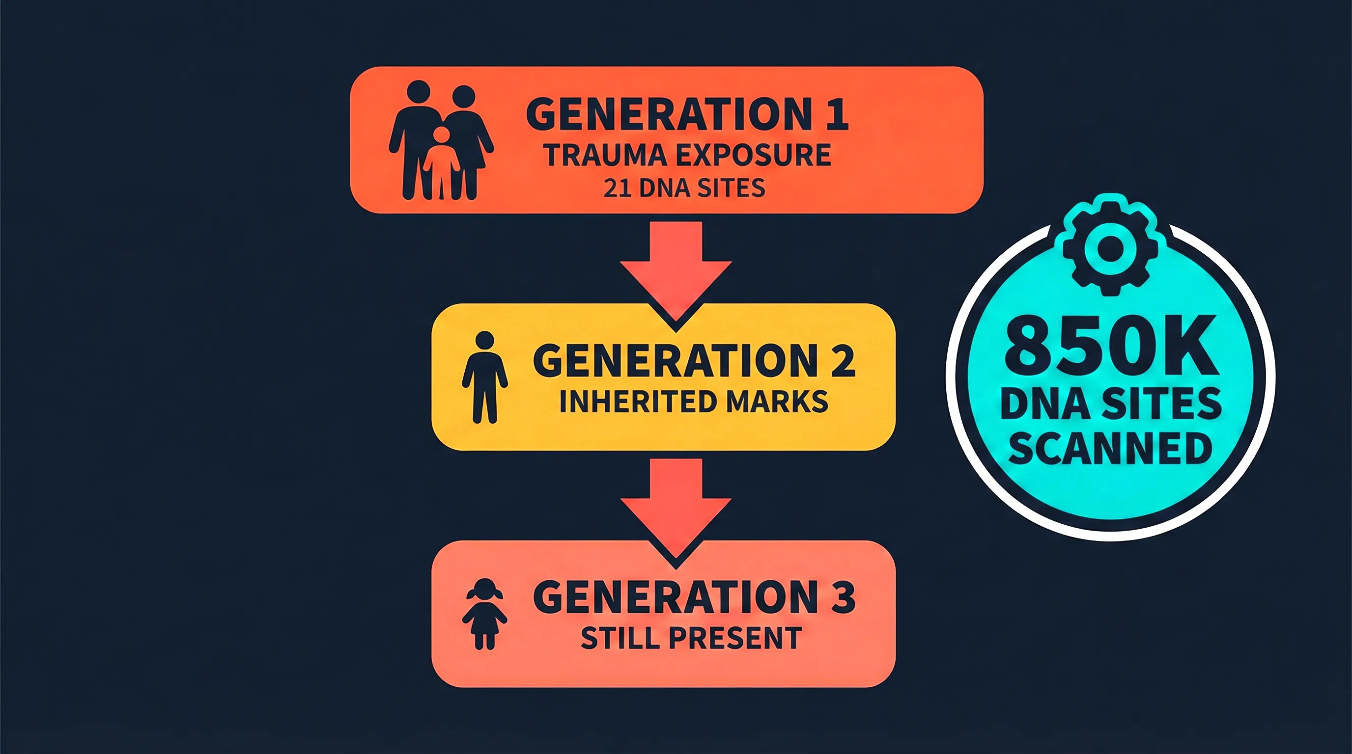 Intergenerational trauma transmission through epigenetic DNA changes
