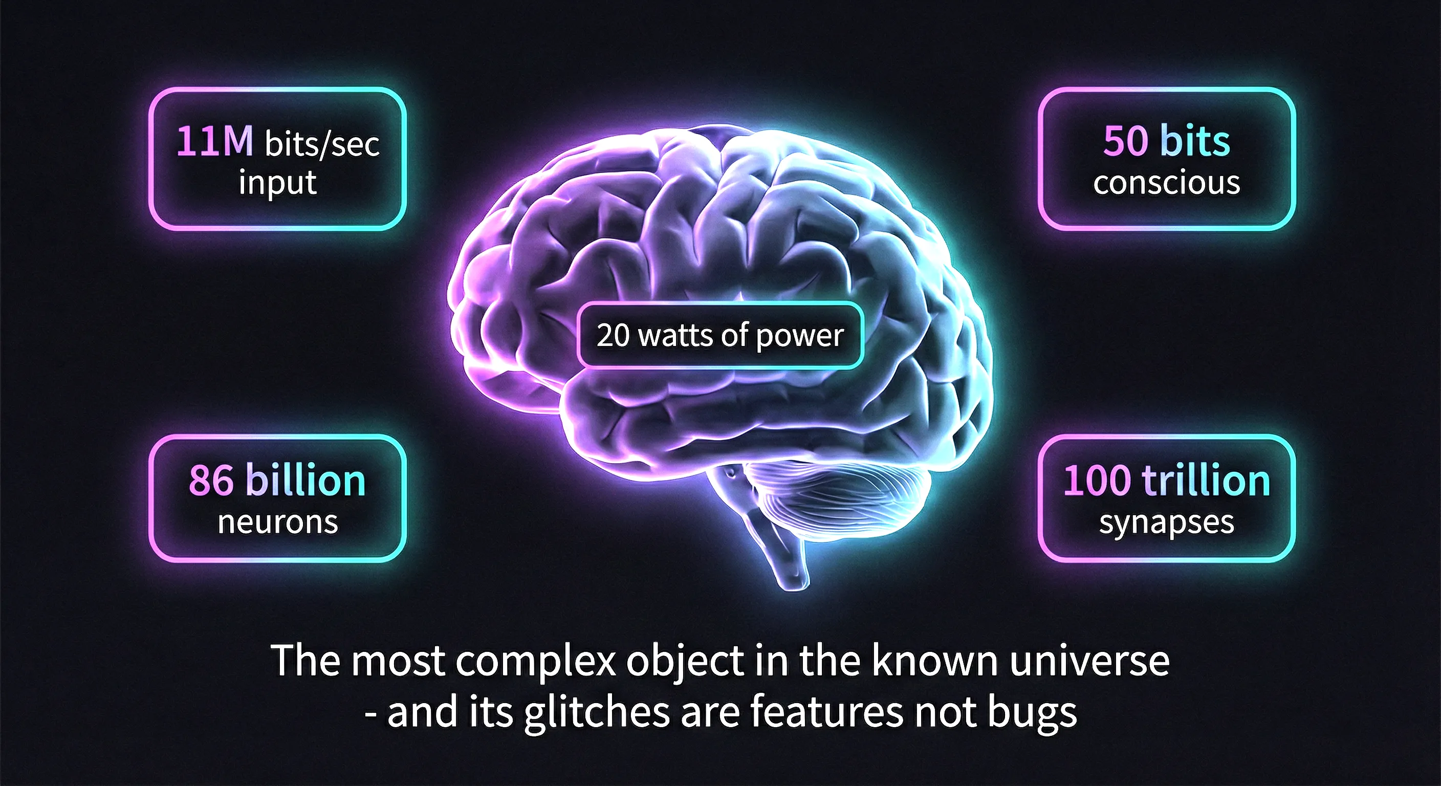Enjoying the mystery of brain glitches