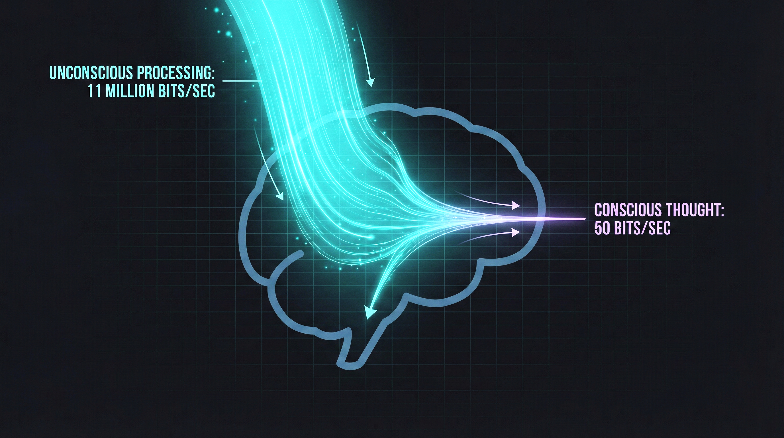 Your Brain's Shortcuts Have a Dark Side